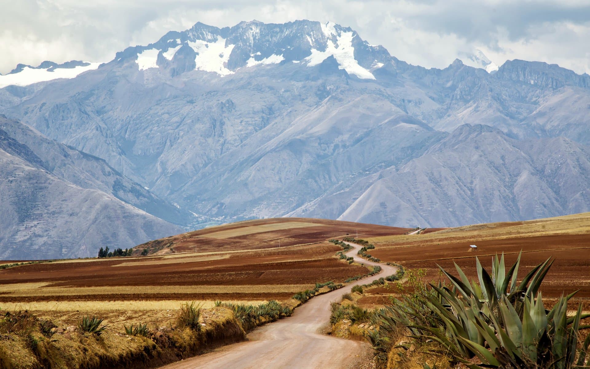 A dirt road winds through farmland toward snow-capped mountains